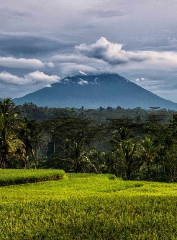 Gianyar Bali