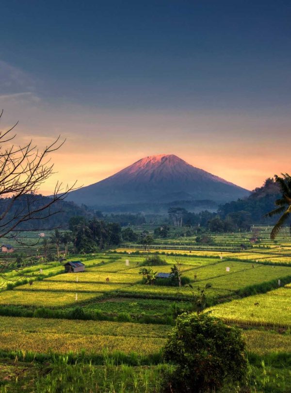 Kasrangasem Bali