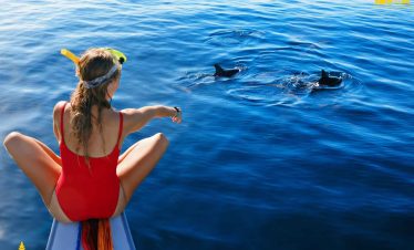 Lovina Dolphin Tour