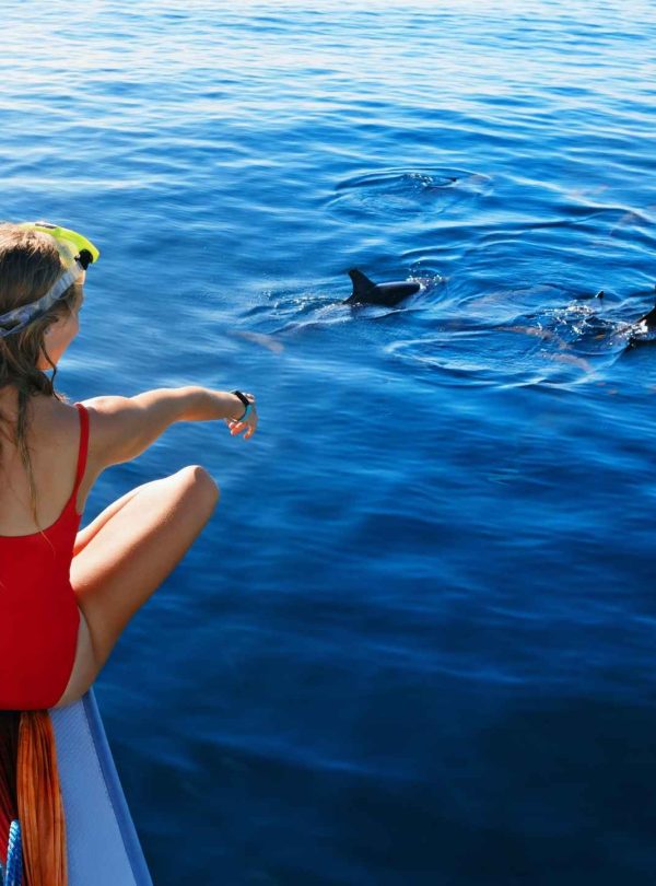 Lovina Dolphin Tour