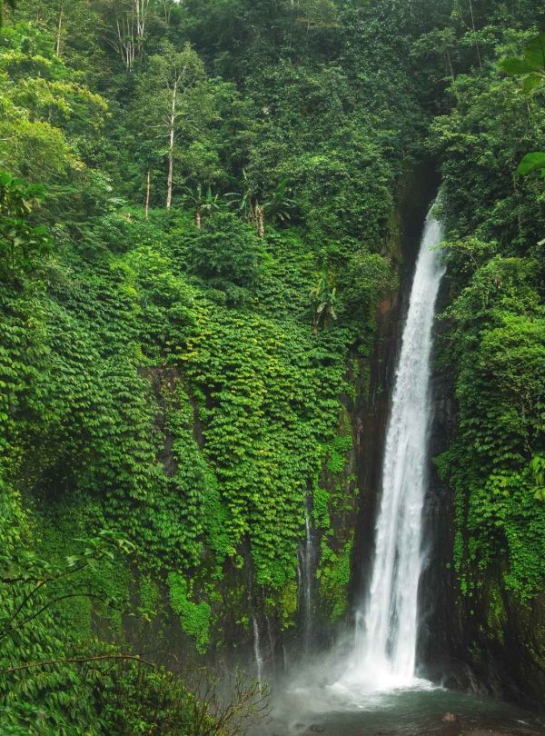 Sekumpul Waterfall, Bali Sekumpul Waterfall Tour