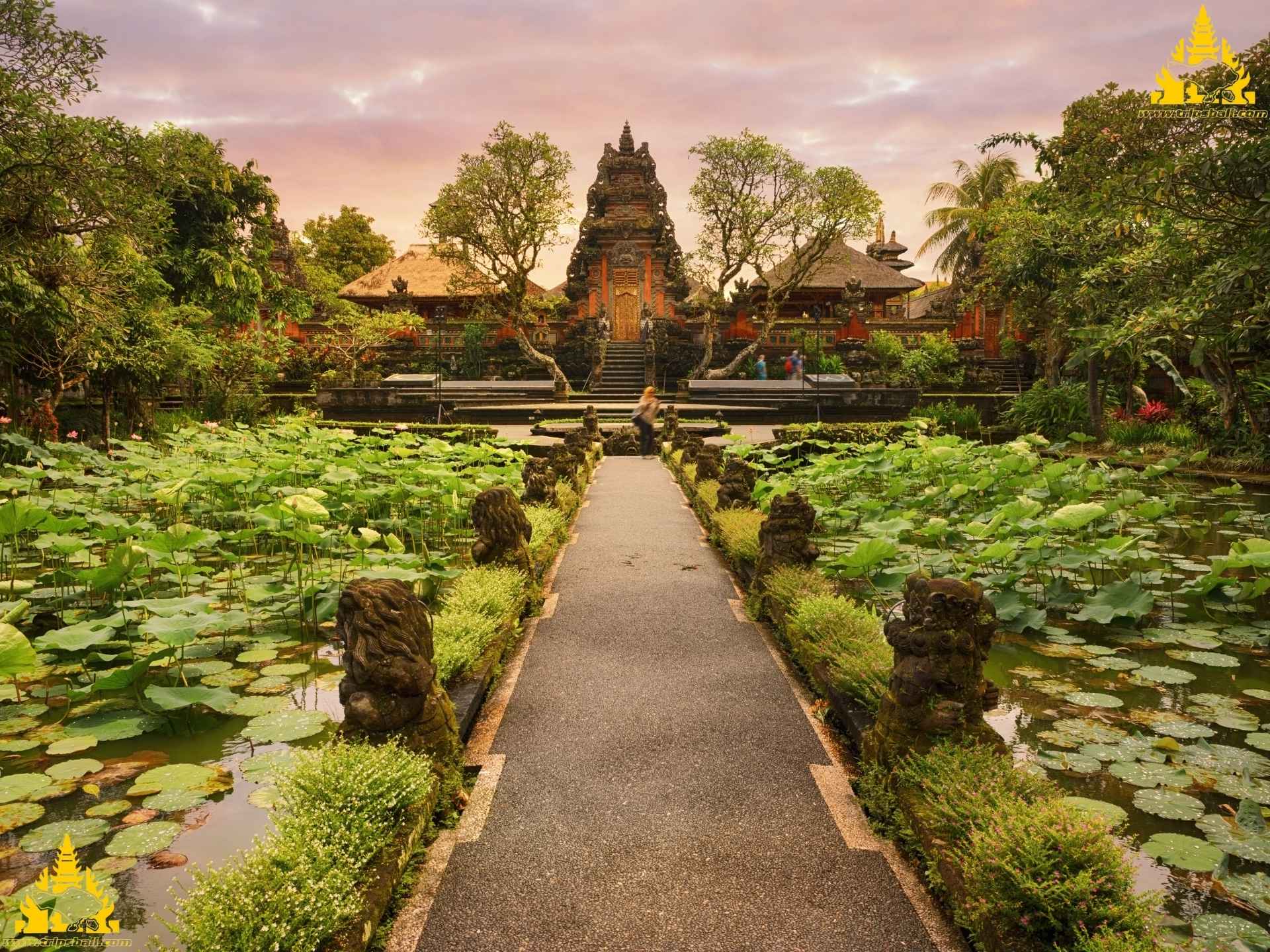 Ubud Bali, Bali Ubud Tour