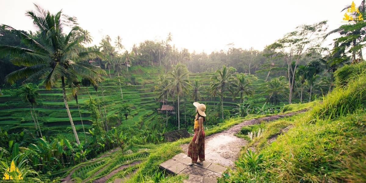 Ubud Rice Terrace Tegalalang