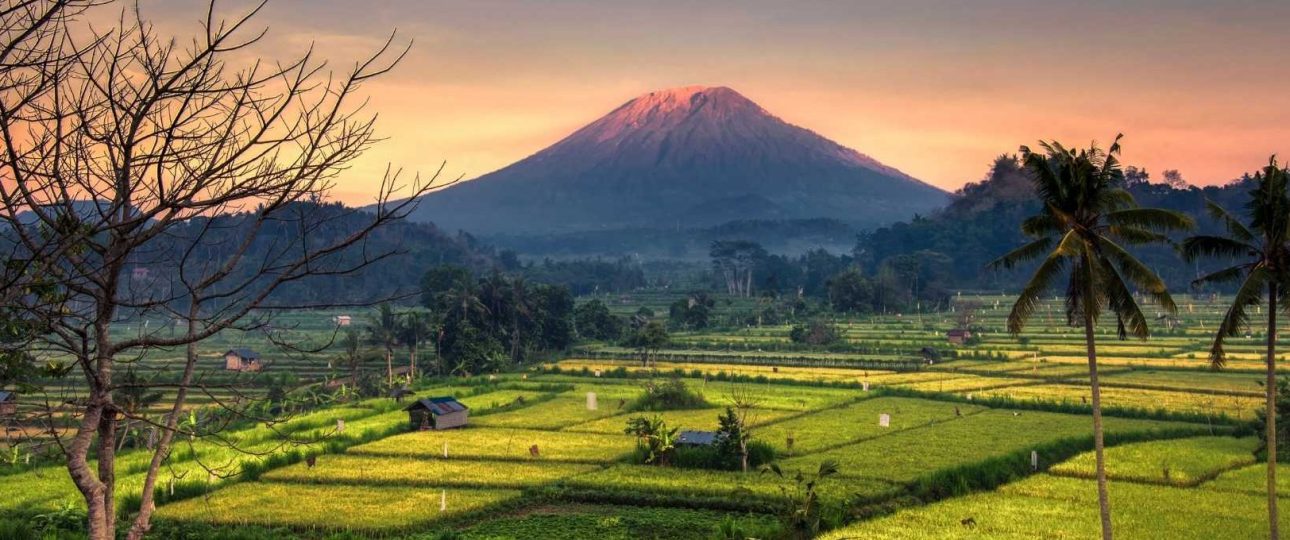 Kasrangasem Bali, Trips Bali, trip types
